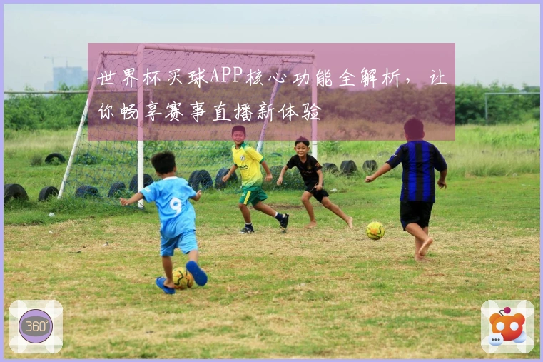 世界杯买球APP核心功能全解析，让你畅享赛事直播新体验
