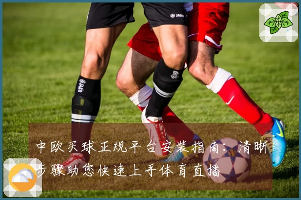 中欧买球正规平台安装指南：清晰步骤助您快速上手体育直播