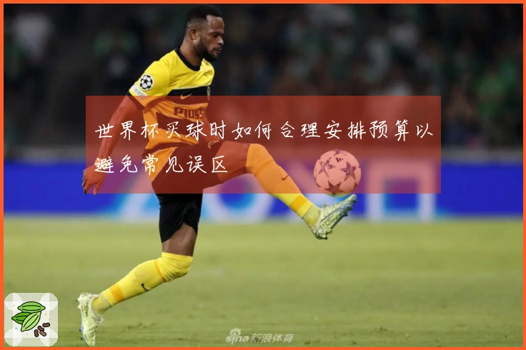 世界杯买球时如何合理安排预算以避免常见误区