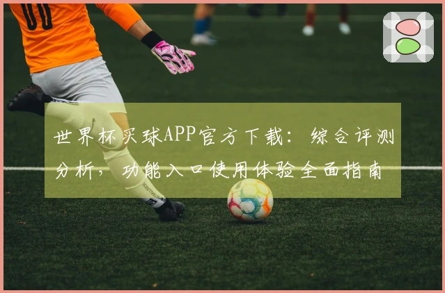 世界杯买球APP官方下载：综合评测分析，功能入口使用体验全面指南