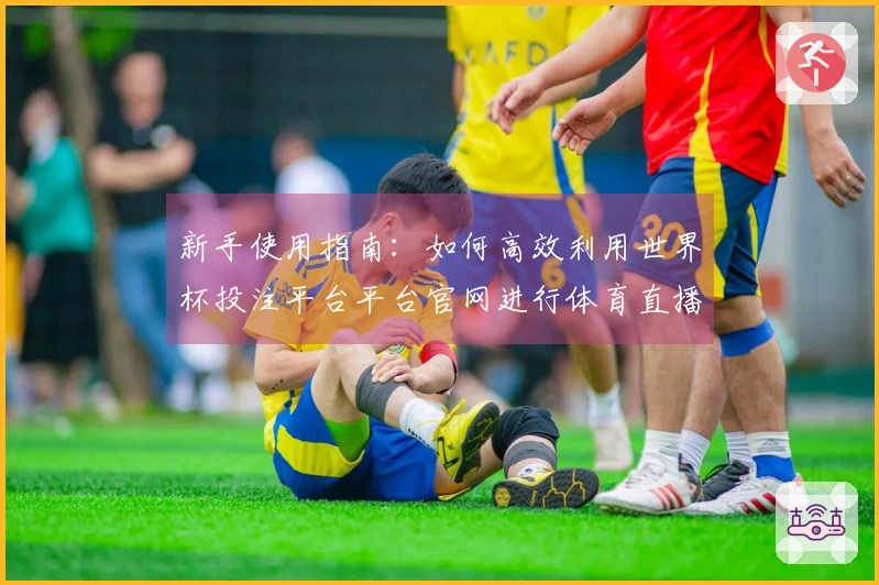 新手使用指南:如何高效利用世界杯投注平台平台官网进行体育直播体验
