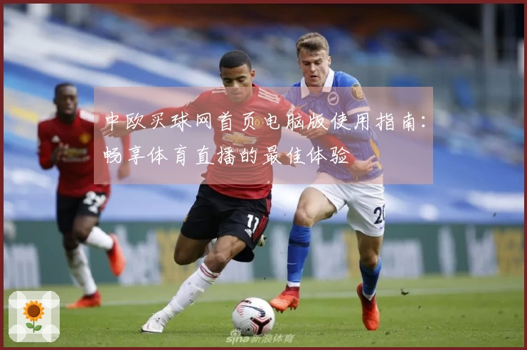 中欧买球网首页电脑版使用指南:畅享体育直播的最佳体验