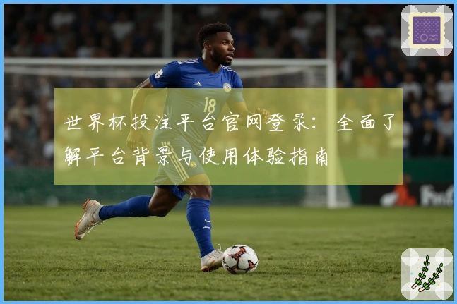 世界杯投注平台官网登录：全面了解平台背景与使用体验指南