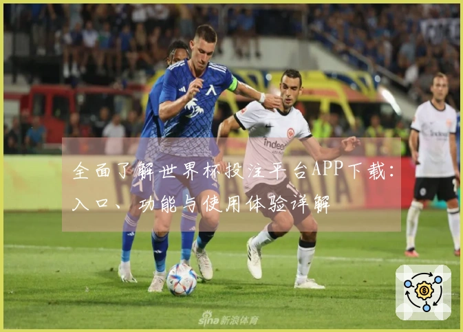 全面了解世界杯投注平台APP下载：入口、功能与使用体验详解