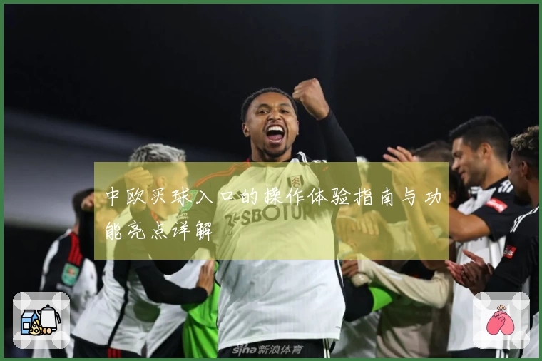 中欧买球入口的操作体验指南与功能亮点详解